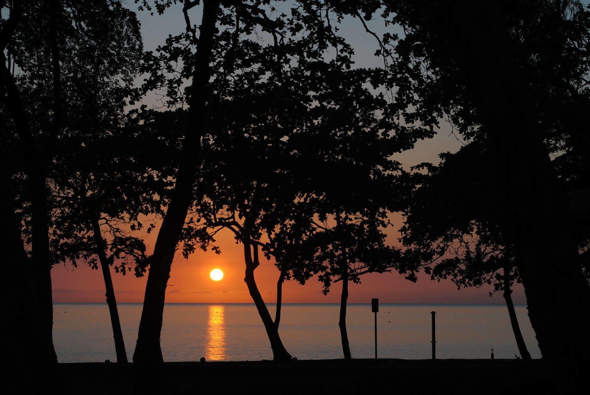 Beachview Apartments At Villa Paradiso Palm Cove Esterno foto